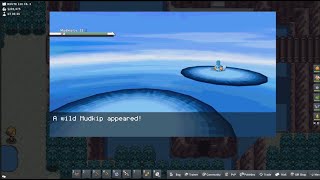 How to catch a mudkip in pokemmo [upl. by Luisa]