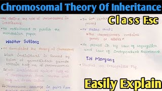 Chromosomal Theory Of Inheritance  Class 12 Biology [upl. by Ydnolem]