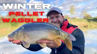 PELLET WAGGLER IN WINTER Winter Fishing for Carp and F1s [upl. by Elhsa]