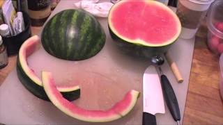 How to Make Watermelon Animals Easy [upl. by Eiramaneet457]