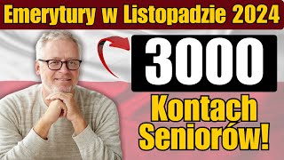 Emerytury w Listopadzie 2024 Nawet 3000 Zł na Kontach Seniorów [upl. by Tibbitts588]