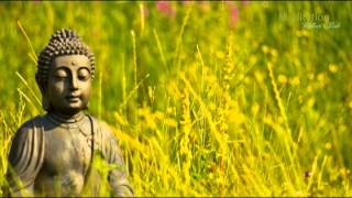 Zen Entspannungsmusik Wellness amp Regeneration Yoga Musik Tiefenentspannung amp Meditation [upl. by Solram898]