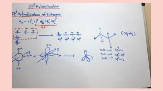 sp3 hybridization of nitrogen [upl. by Ennej302]