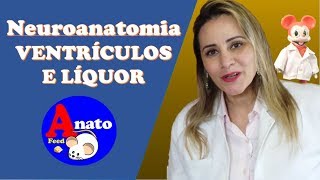 Neuroanatomia  Ventrículos e Líquor  Prof Celimara [upl. by Ynabe]