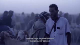 DES MOUTONS ET DES HOMMES  Bande annonce [upl. by Behl279]