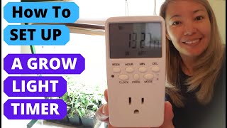 HOW to SET UP A TIMER for grow lights [upl. by Tandie]