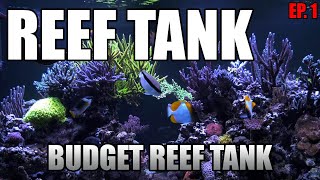 BUDGET REEF TANK  New Video Series  Nano Saltwater Reef Tank for Beginners [upl. by Llerruj]