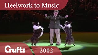 Heelwork To Music  Mary Rays 2002 Performance  Crufts Dog Show [upl. by Kopaz135]