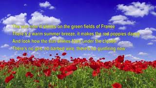 Green Fields Of France  Lyrics  Irish [upl. by Cressi]