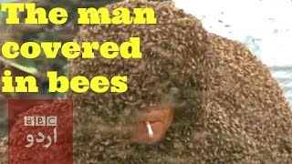 Man covered in stinging bees sets record in China [upl. by Pease]