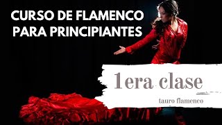 CLASE 1 PRINCIPIANTES CURSO DE FLAMENCO [upl. by Adamina]