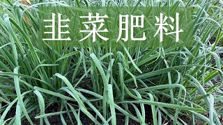 没有草木灰和尿素，韭菜用什么肥料？ [upl. by Arriaes]