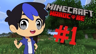 MINECRAFT HARDCORE MODE STREAM 1 [upl. by Ume]