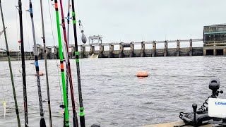 DAM Fishing For BIG FISH River Fishing [upl. by Ruthi391]