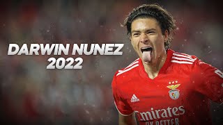 Darwin Núñez  The Future of Uruguay [upl. by Zak]