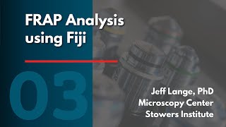 FRAP analysis using Fiji [upl. by Nnayllas770]