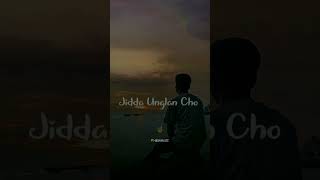 Sada Pyaar AP Dhillon New Punjabi Song 2022 love song status punjabisong punjabistatus lyrics [upl. by Nakhsa]