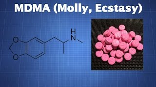 MDMA Molly Ecstasy What You Need To Know [upl. by Elisabeth806]