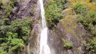 Westland Tai Poutini National Park South Island New Zealand [upl. by Ewart]