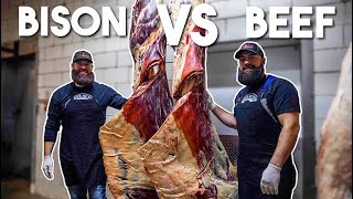 BISON vs BEEF The Ultimate Comparison  The Bearded Butchers [upl. by Veta]