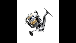 An Affordable Reel Recommendation  Daiwa LT 3000C [upl. by Moht]