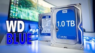 Why are WD Blue HDDs so popular Western Digital Blue 1TB Review [upl. by Adai]