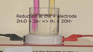 Leaving Cert Chemistry  Electrolysis of Potassium Iodide KI [upl. by Euginimod]