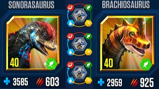 SONORASAURUS VS BRACHIOSAURUS ALL EVOLUTIONS ALL X3 LV 40  JURASSIC WORLD THE GAME [upl. by Notxarb535]