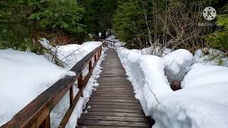 Baranof Hot Springs Sitka AK Baranof Island [upl. by Irrek39]