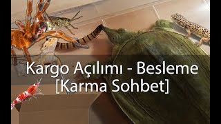 Paket Açılımı  Besleme VLOG  Agresif Kaplumbağa  Karidesler  Akrep vs [upl. by Llemhar480]