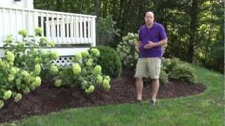 Front Yard Landscape Design Ideas  Trumbull CT Landscape Designer [upl. by Gabbert]