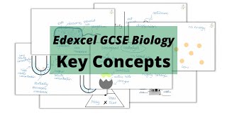 The WHOLE of Edexcel GCSE Biology KEY CONCEPTS [upl. by Yralam]