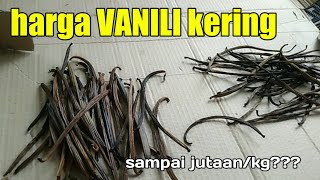 harga vanili kering [upl. by Gardol]