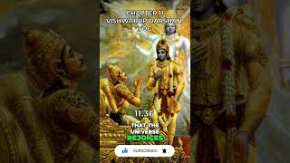 Bhagavad Gita Chapter 11 1136 [upl. by Magdalen218]