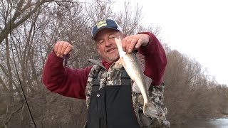 Rock River Saugers and Walleyes  Walleye Fishing Techniques [upl. by Anahs289]