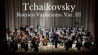 Tchaikovsky  Rococò Variations Var III Metamorphose String Orchestra [upl. by Zak]