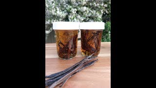 How To Make Vanilla Extract [upl. by Eciuqram]