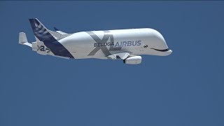 Así es el nuevo Airbus Beluga XL [upl. by Iridis199]