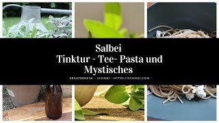 Salbei  Tinktur  Tee  Pasta und Mystisches [upl. by Ettolrahc760]