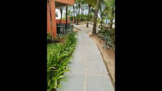 Mandrem Beach mandrem beach goa goals nature [upl. by Wain]