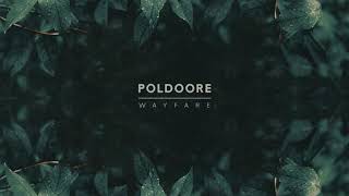 Poldoore  Wayfare  FULL EP 2020 [upl. by Nyrroc963]