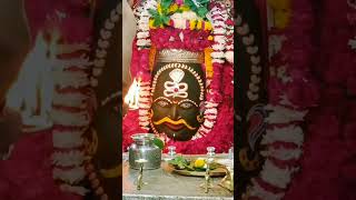 Mere mahadev 🔱🚩 song music mahakal mahakaleshwarmahakal shorts [upl. by Nuaj]