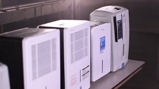 Dehumidifier Buying Guide Interactive Video  Consumer Reports [upl. by Garry]