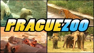 PRAGUE ZOO 4k [upl. by Voltmer335]