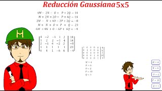 Solución de sistema de ecuaciones 5x5 Gauss Jordan [upl. by Esinek]