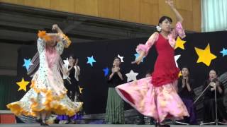 【学生制作】三重大学祭2014 [upl. by Hpeseoj703]