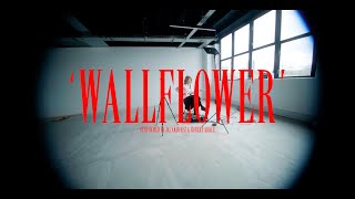 Artio  Wallflower GUITAR PLAYTHROUGH [upl. by Nared]