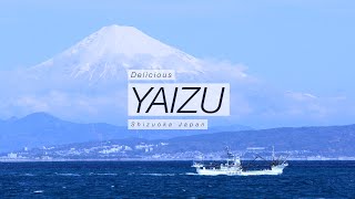 Yaizu City Japan 8K  焼津市 [upl. by Schroer120]