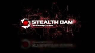 Trail Cam Review Stealth Cam Browtine [upl. by Mizuki]