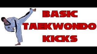 Taekwondo basic kicks [upl. by Jewell]